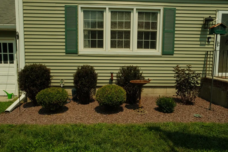 Clipped boxwood and shrubs with a birdbath in a stone-mulched foundation bed