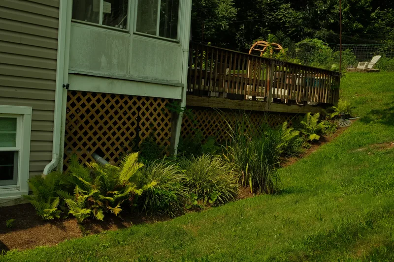 Ferns and ornamental grasses planted along a deck footing