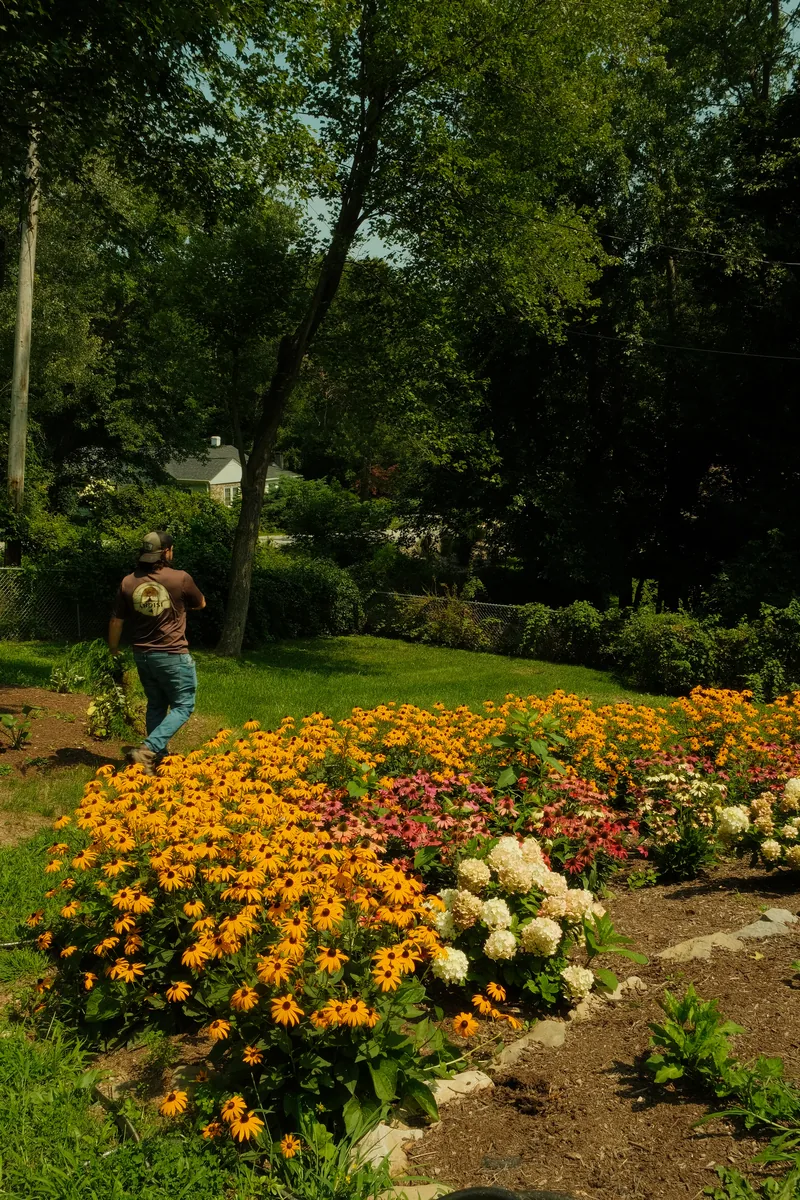 Ardisi crew member walking past a large mixed perennial border