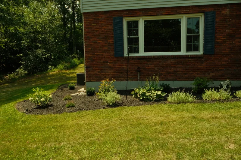 Freshly mulched foundation bed with new plantings beside a brick home