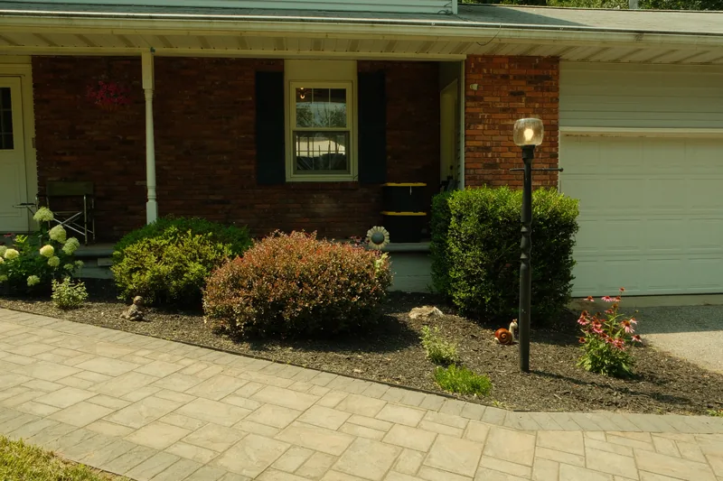 Paver walkway beside a dark mulch bed of clipped boxwood and barberry