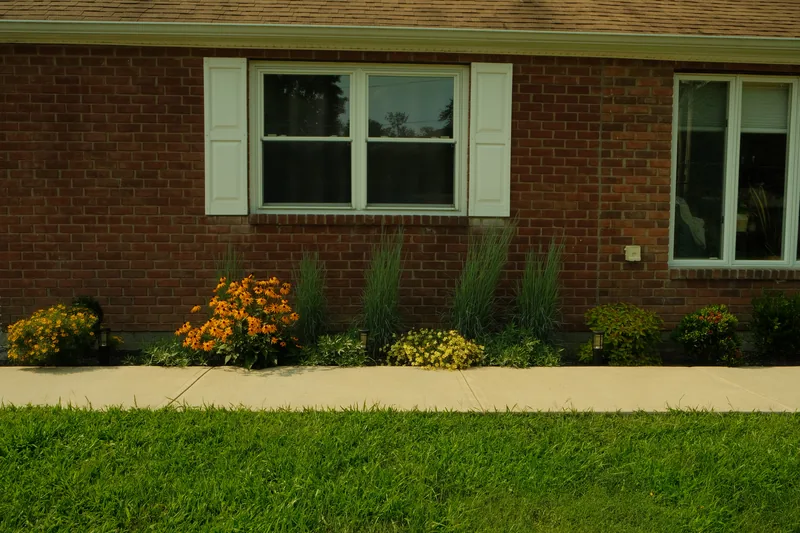 Ornamental grasses and daylilies in a finished foundation planting along a brick ranch home